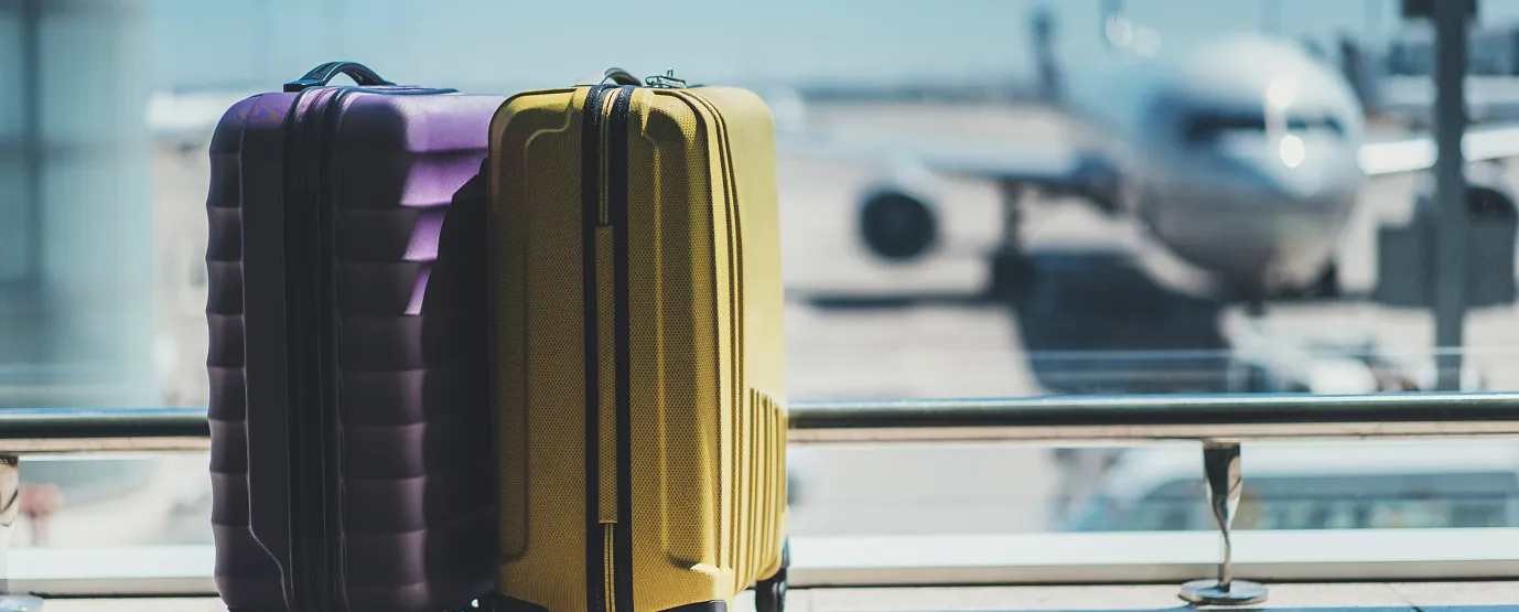 Deux valises devant une fenêtre. Par la fenêtre, on voit un avion.