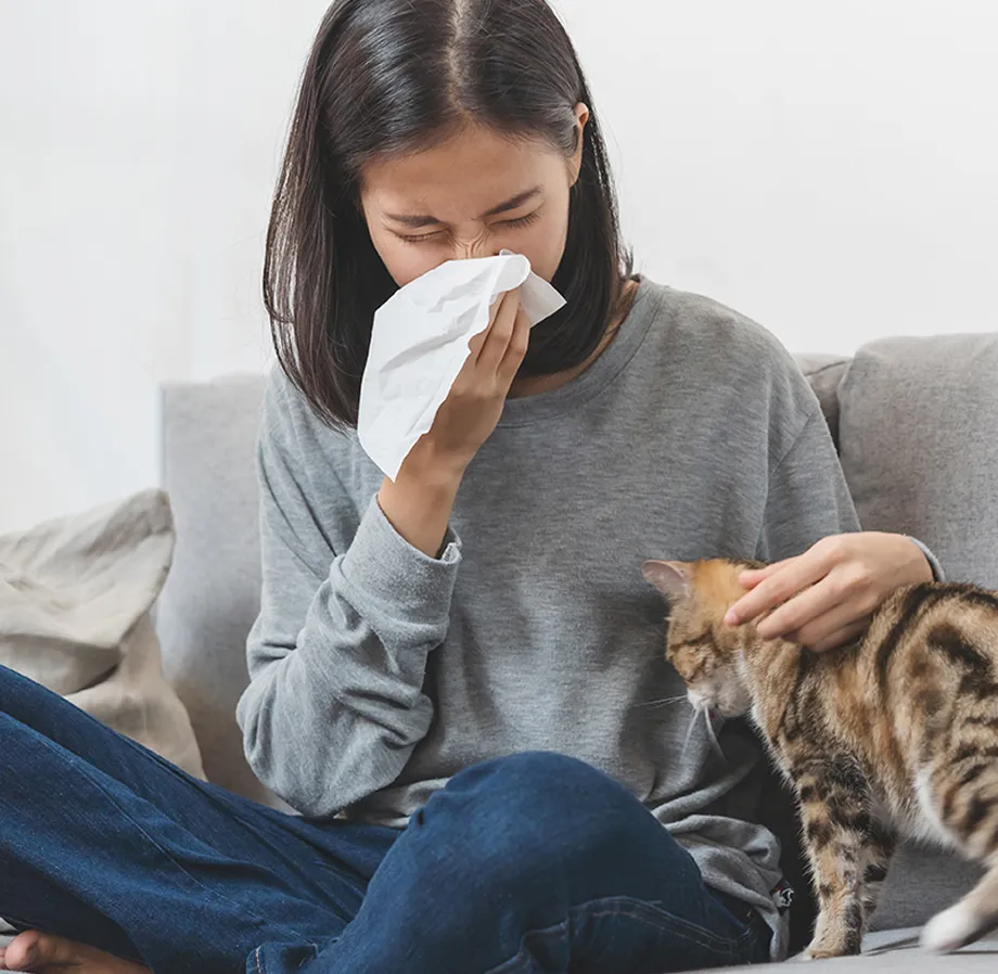 Une personne est assise sur un canapé. Elle flatte un chat et se mouche.