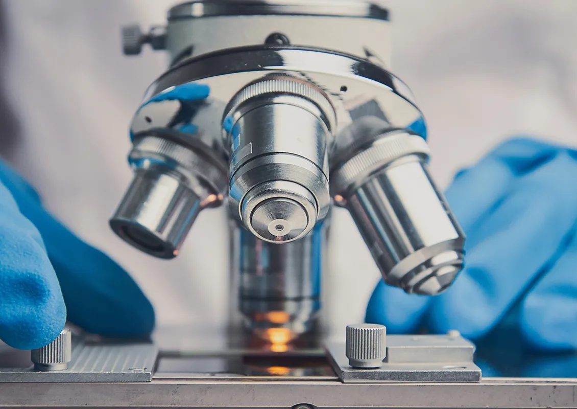 Les objectifs d’un microscope.