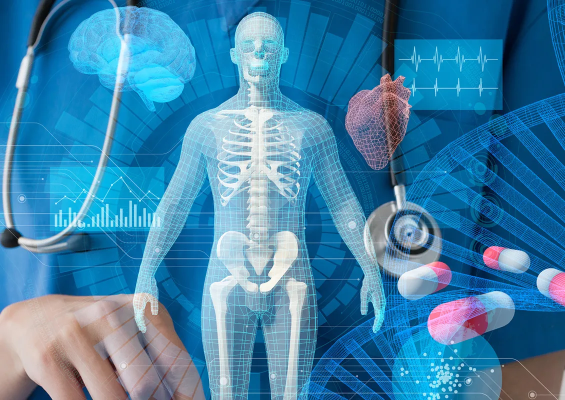 Une personne ayant un stéthoscope autour de son cou tient une tablette dans ses mains. Sur la tablette, il y a l’hologramme d’un être humain et son squelette.