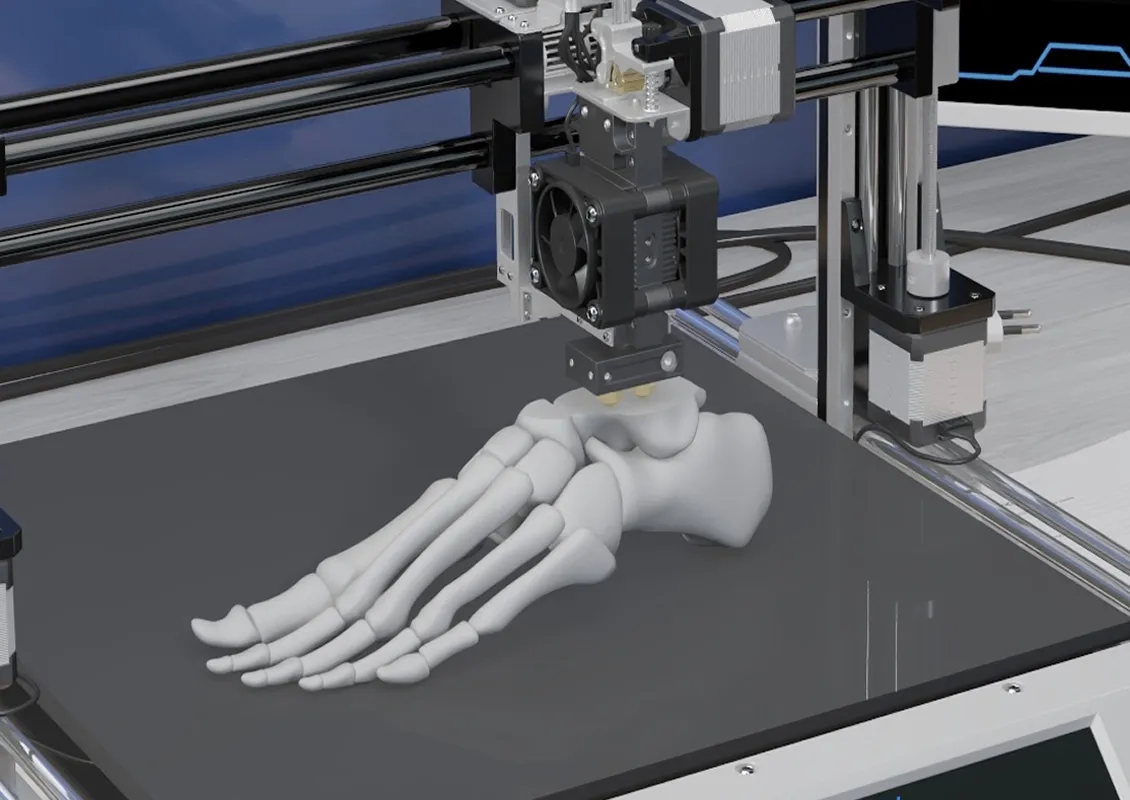 Une impression 3D du squelette d’un pied.